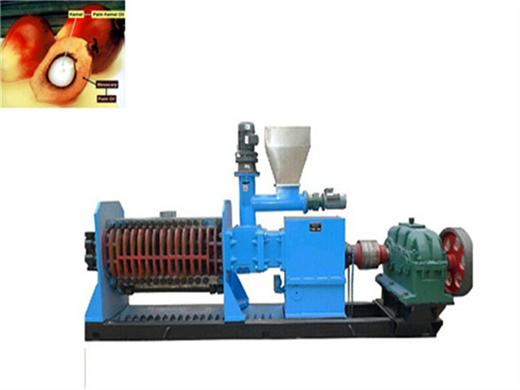 Machine d'extraction d'huile de palme, moulin à huile d'arachide