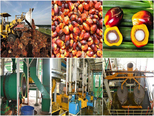 Expulseurs automatiques d'huile de palme de 15 kg/h au Maroc