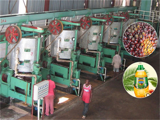 usine de transformation d'huile de palme à technologie mature au Tchad