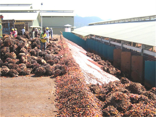ligne de production d'huile de palme à grande vitesse huile de palme